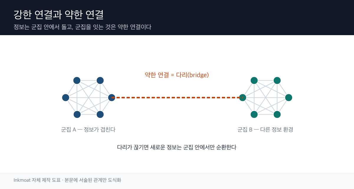 강한 연결 군집과 약한 연결 다리를 나타낸 네트워크 모식도